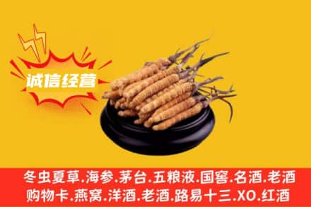 吉安市新干回收冬虫夏草